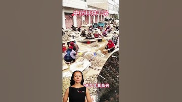 #fcnfm Maximize Harvest Returns: The Power of Dehydration with Our Drying Machine