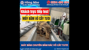✅KHÁCH HÀNG TRỰC TIẾP MANG NGUYÊN LIỆU ĐẾN TEST MÁY BĂM HỒNG NHO – KẾT QUẢ VƯỢT MONG ĐỢI!