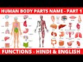 HUMAN BODY PARTS NAME IN HINDI AND ENGLISH WITH PICTURES & FUNCTIONS | शरीर के अंगों के नाम | PART 1