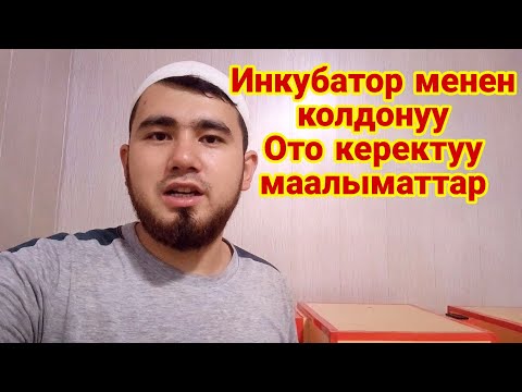 Video: Кармалган жапайы бакага кам көрүүнүн 3 жолу