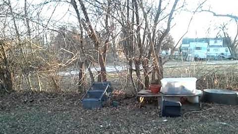 Nexus S video capture