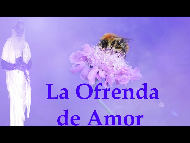 (ES) - La Ofrenda de Amor - Instructor Tony Díaz