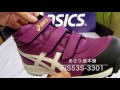 FIS53S 3301