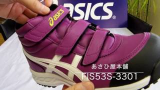 FIS53S 3301