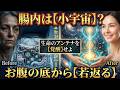 腸内は【小宇宙】お腹の底から若返る!!