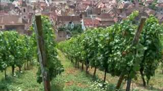 vues de colmar alsace (france)