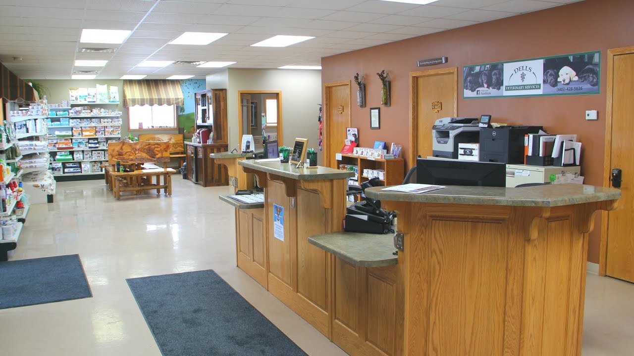 Take a Tour of the Dells Vet Clinic YouTube