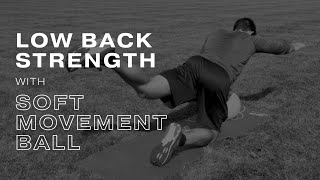 Low Back Strength Exercises