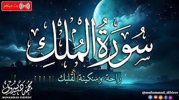 سورة الملك 🤍🎧 | أرح سمعك و قلبك | القارئ محمد ديبيروف - Surah Al-Mulk - Muhammad Dibirov