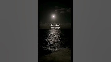 إن الذين قالوا ربنا الله ثم استقاموا #ناصر_القطامي #اكسبلور #تلاوة_هادئة #تلاوة_خاشعة #قرآن