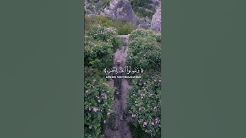 سورة الحج || آية ٢٣-٢٤ (Surah Al-Ḥajj) ﷽#quran  #قرآن  #yasseraldossari