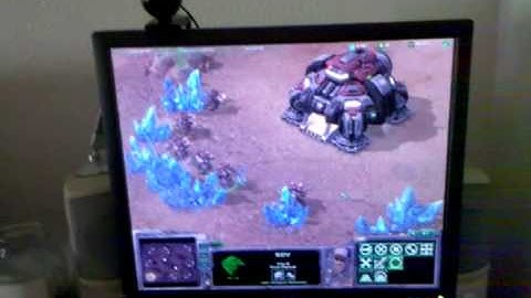 Starcraft II Running On Ubuntu GNU/Linux 10.04 in Wine