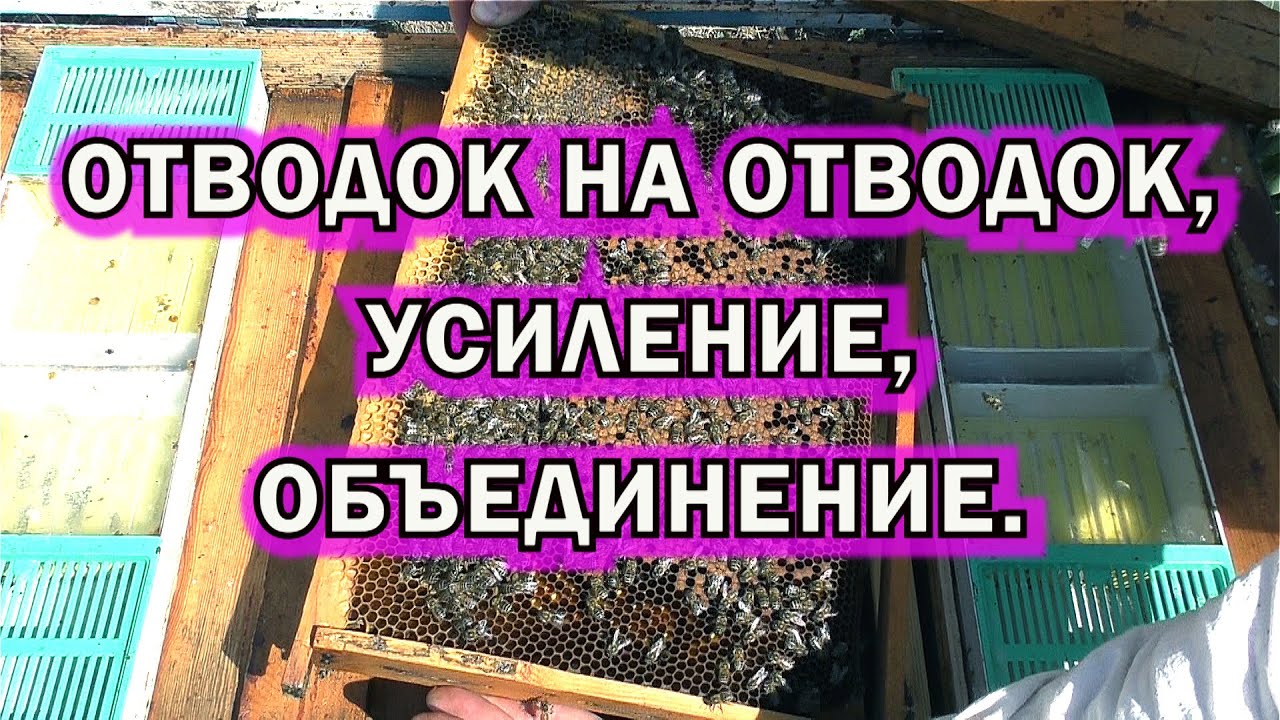 ОТВОДОК НА ОТВОДОК, УСИЛЕНИЕ, ОБЪЕДИНЕНИЕ.