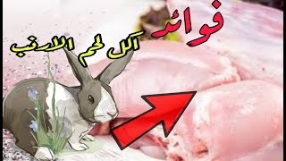 من فوائد اكل لحم الأرنب ?| لن تصدق مابه من فوائد عديدة لجسم الانسان ..​