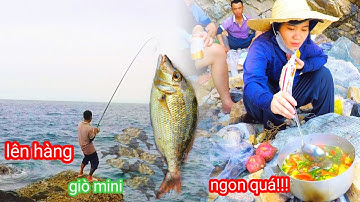Câu Cá Biển, Câu Ghềnh, Câu Cá Biển Sâu, Câu Cá Coát Cá Giò "2 Ngón" Bén Mỏi Tay, Nấu Và Ăn Tại Chỗ