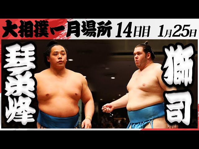 相撲画家 松岡リン ドローイング リン・スターム・レビィ
