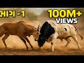 🐂😨 Intense Animal Fight – Nilgai vs Bull Live Action ⚠️😱🔥💪 #viral #trending #youtubevideo