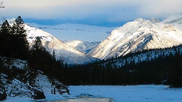 Fix Windows Could Not Find a Driver for Your Network Adapter