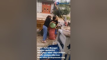 Automatic Garlic Splitting and Size Grading Machine for Garlic Seeds