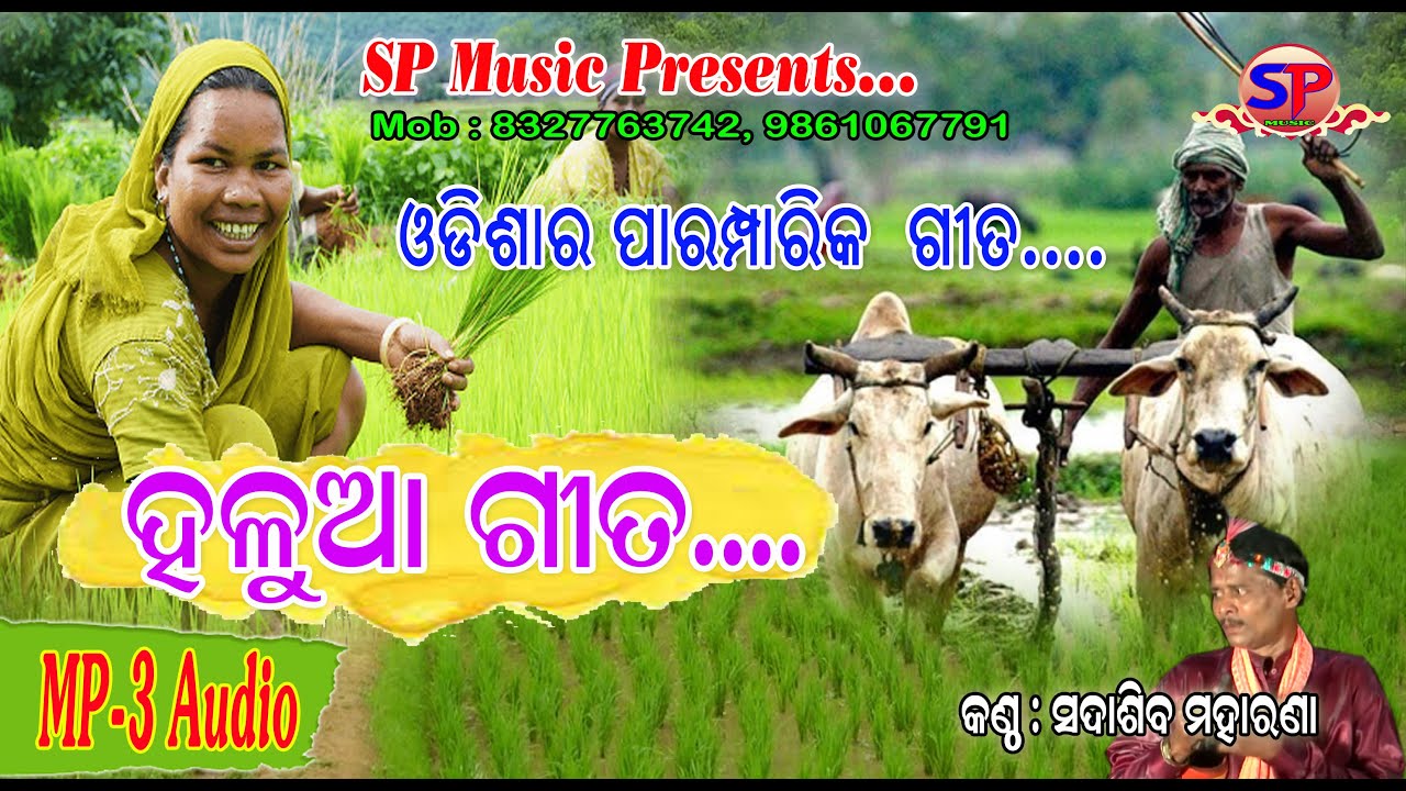 Halua Geeta  Sadasiba Moharana   Odisha Traditional Song  Odia Culture  SP Music