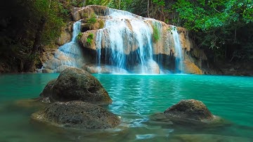 Deep Healing Music, Healing Your Nervous System, Instant Relief from Stress and Anxiety, Calm Nature