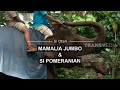 [FULL] Mamalia Jumbo Dan Si Pomeranian Bersama Alshad Ahmad | SI OTAN (25/03/21)