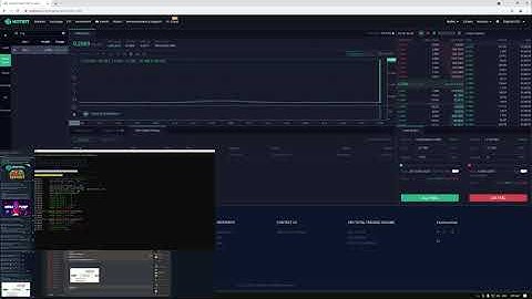 FMG/USDT Hotbit Pump Using PumpBullet Bot