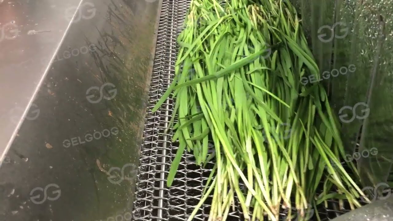 Hassle-free Vegetable Cleaning with a Leek Washing Machine  For Scallions/Green onions