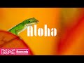 Hawaiian Music for Relaxation and Focus | Tropical Vibes for Your Day