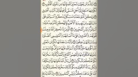 سورة الحج من آية ٣٨ حتى آية ٧٨ !!!