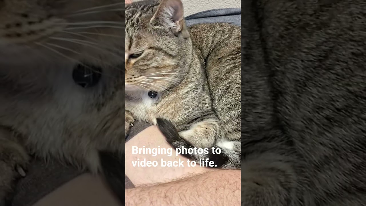 Bringing photos to video back to life. #⃣tssb