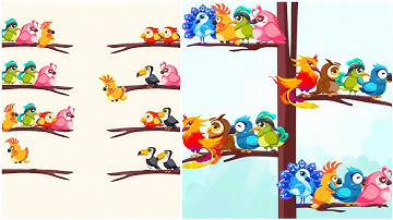 Bird Sort Colour Gameplay 2 , Android Games ios Walkthrough Simulator Think Brain Puzzle
