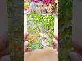 ASMR collage 'Lucky Clover'
