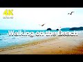 태안 꽃지 해변 산책하기 (with 잔잔한음악, 파도, 갈매기 소리) | Walking on the beach | 4K 영상소스
