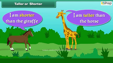 Comparison | Finding the Furry Cat! | Math | Class 1 | iPrep