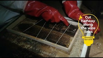 Attaching Burr Comb to Frames [Short]