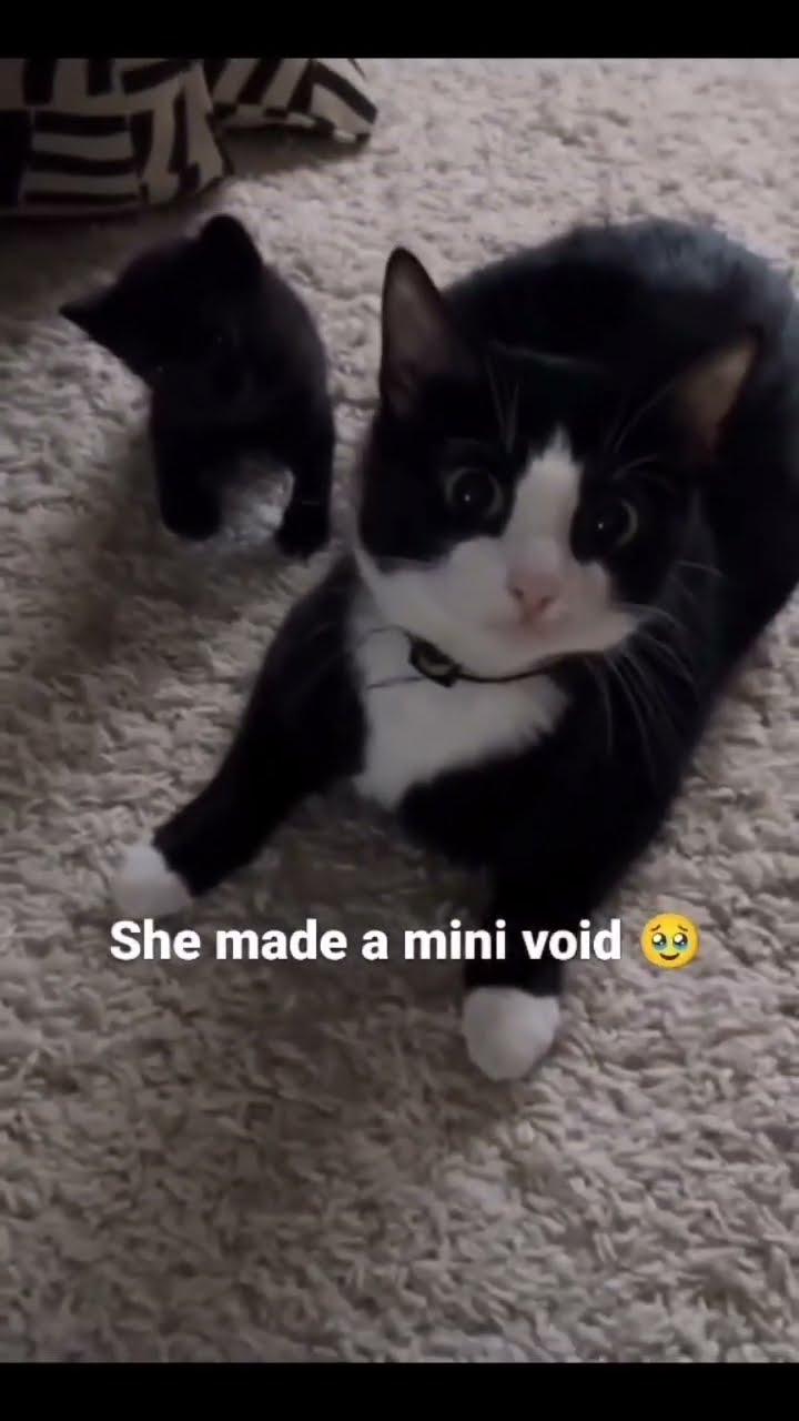 Mini void just vibing to some my skin the music video out now