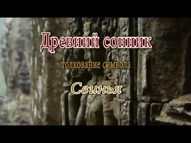 К чему снится Свинья сонник, толкование сна