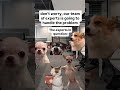 When the “Experts” Show Up 😂 #funny #viral #memes #work #relatable #shorts #viral