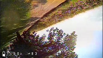 [Tinyhawk 2 Freestyle] Bouncing among trees