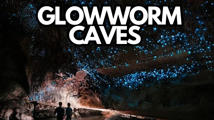 Discovering the Enchanting Waitomo Glowworm Caves: New Zealand's Hidden Gem!