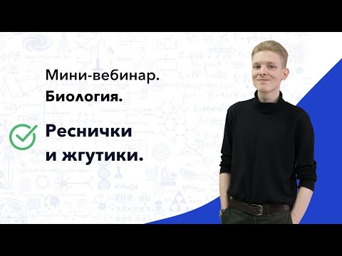 Мини-вебинар по биологии | Реснички и жгутики | Cool School