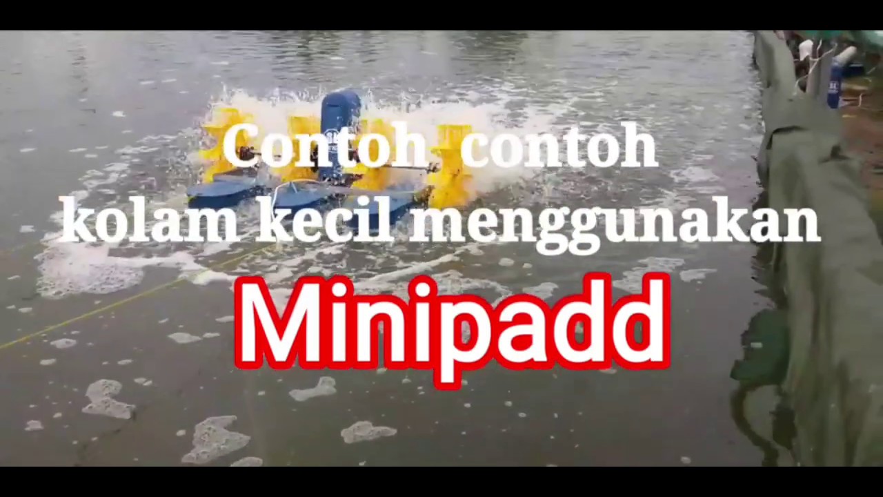 Contoh kolam Mini dan kecil
