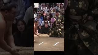 Hoshoryu vs Ura Hatsu Basho 2026 Sumo #sumo #sport #japan #wwe #япония #mma #ufc #sumo #борьба