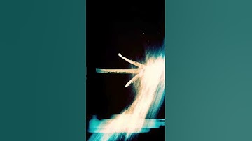 Customize Radio Button color using Html-CSS. #programming #javascript #coding #html #html5 #css #cod