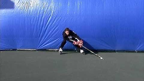 Smarthockey 5.3 Stationary Puck Control - unorthodox extension