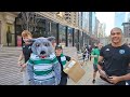 Chicago riverwalk with hot tub boat and chicago rugby professional team encounter with hound mascot