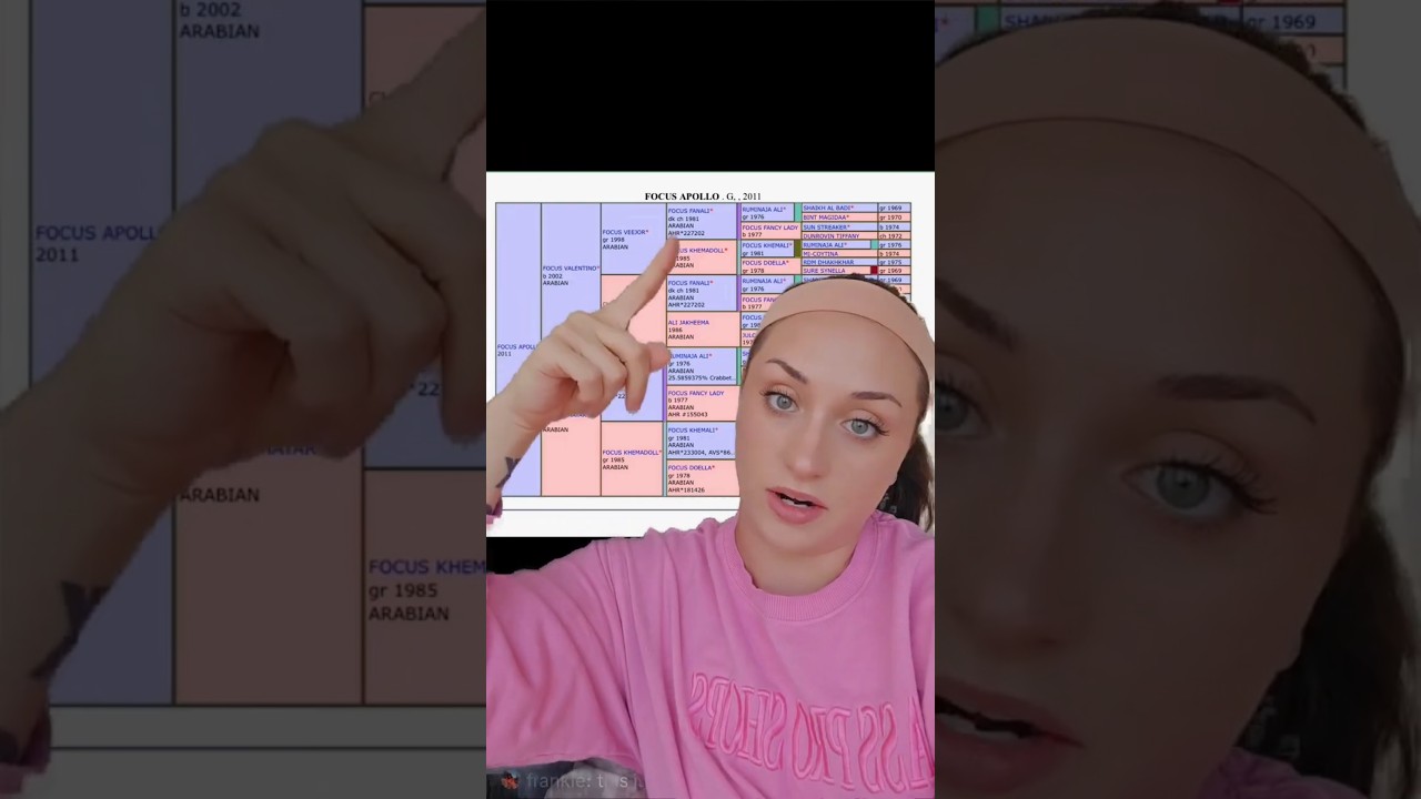 My new horse doesn't deserve a loving home???