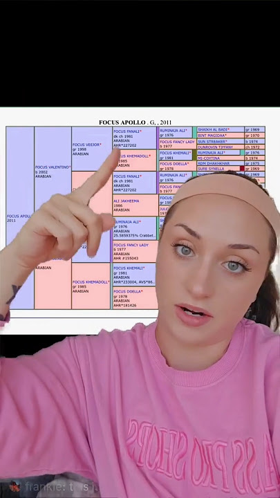 My new horse doesn't deserve a loving home???