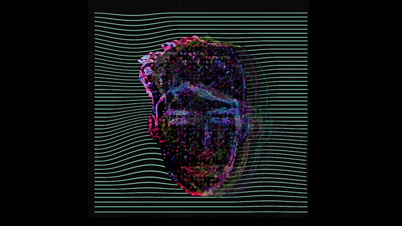 Bearcubs - So Long ft. Secaina Hudson (Official Audio)